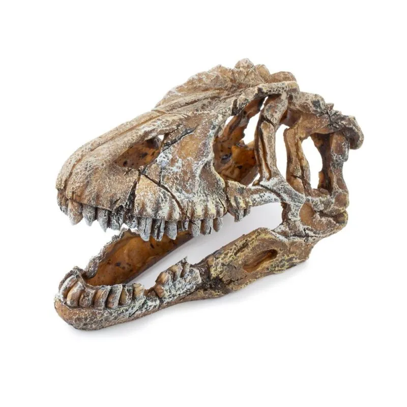 Ozdoba akwariowa czaszka dinozaura 23cm Happet - obrazek 3