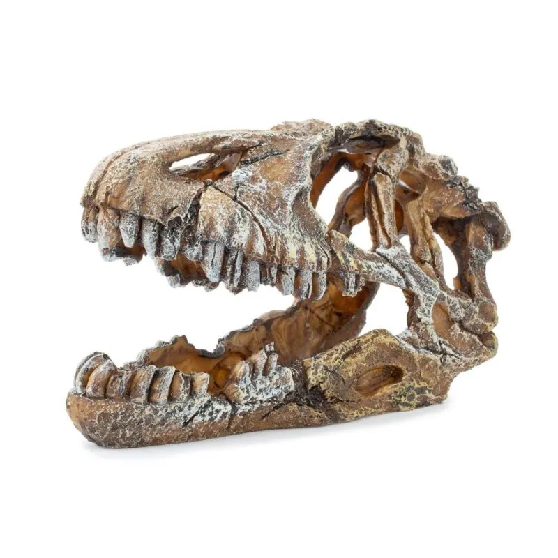 Ozdoba akwariowa czaszka dinozaura 23cm Happet